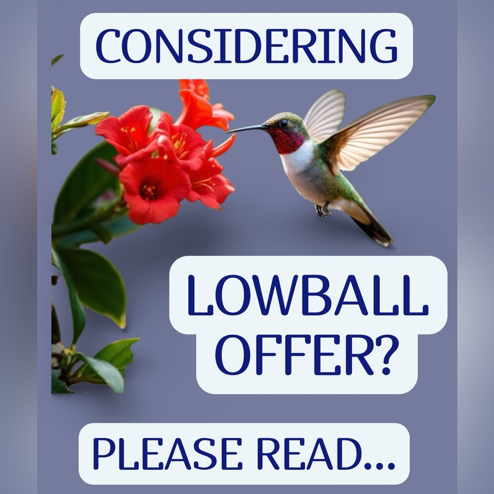 What is a Lowball Offer?